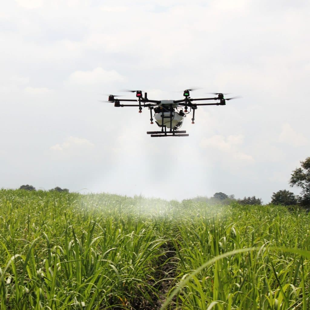 Aplicação De Maturadores Com Drones - AGTech Agrotecnologia