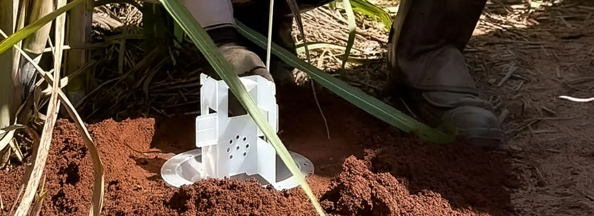 galeria-coletamassal-3