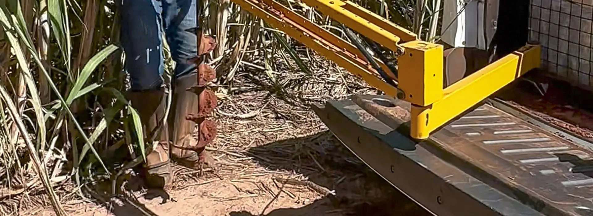 galeria-coletamassal-4