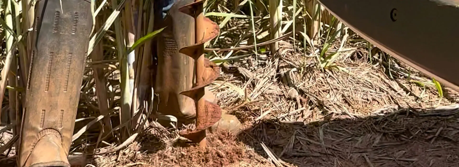 galeria-coletamassal-5