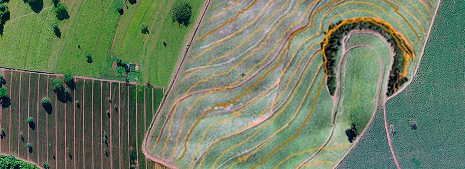 galeria-imageamento-4